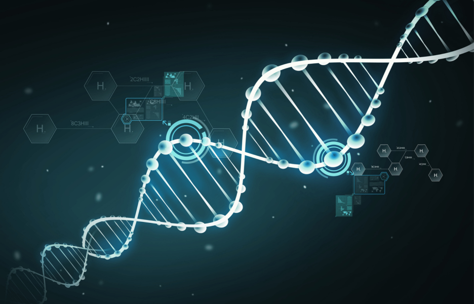 DNA Performance Testing